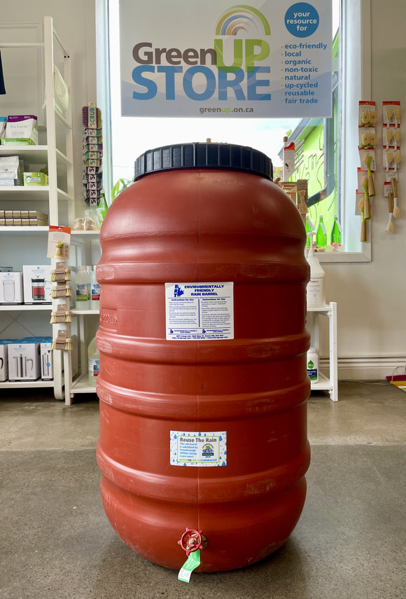 Rain Barrel