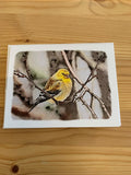 Bird and Critter Cards